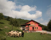 La mia vita in Fattoria